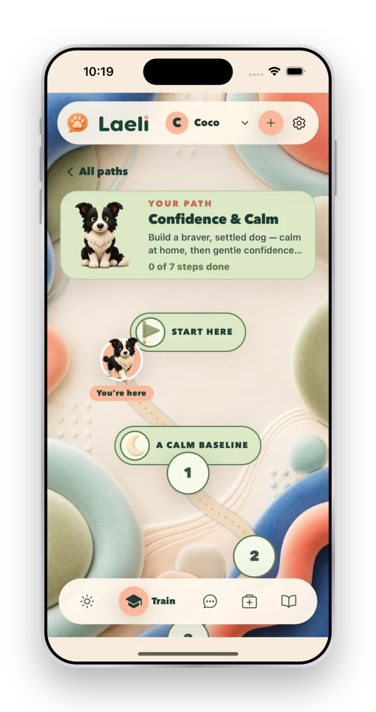 A Laeli course overview