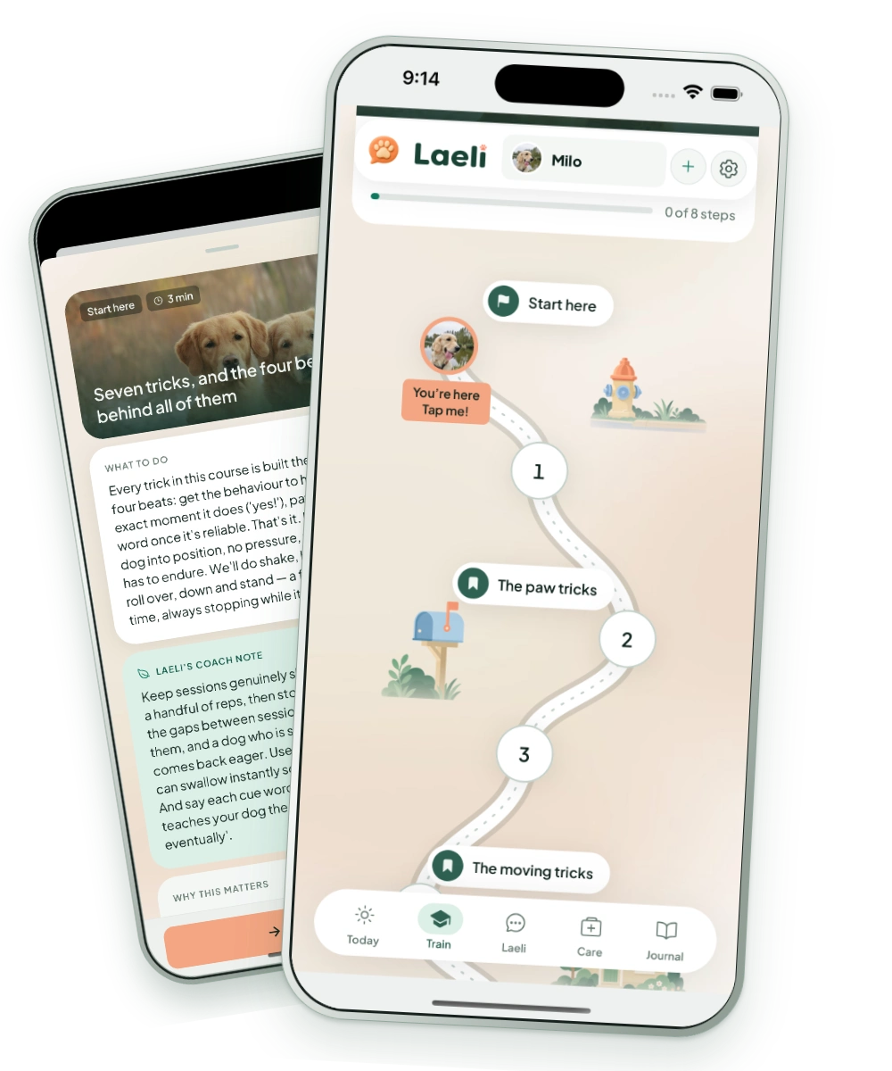 A Laeli course path alongside its lesson instructions